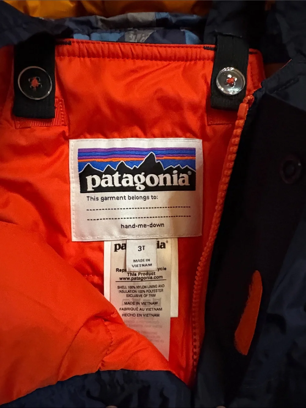 Patagonia Kids Snow Jacket and Bib Set (3t)